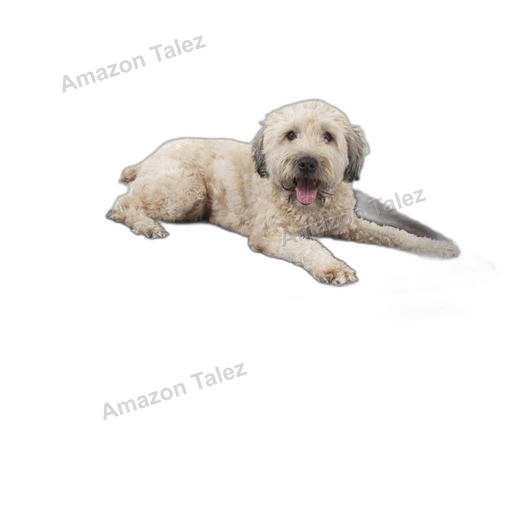 Petmate Dog Bed Orthopedic